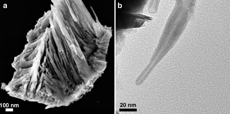 : MoS2 INT synthesized using V as a growth promoter. (a) SEM image, (b) TEM image.